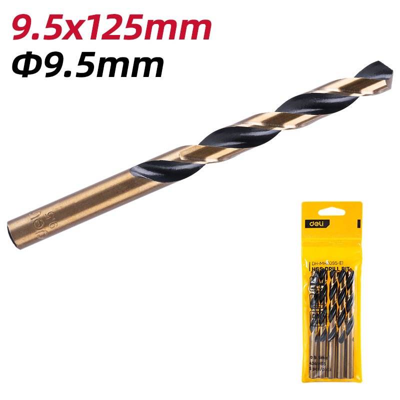 Deli HSS Drill Bit 9.5mmx120mm (5Pcs) - ريشة حديد