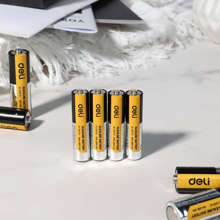 AAA Alkaline Battery (4Pcs) - بطارية قلوية بحجم AAA