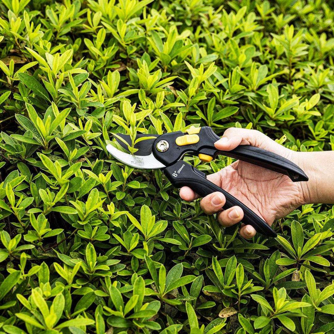 8" Pruning Shears - مقص زراعي