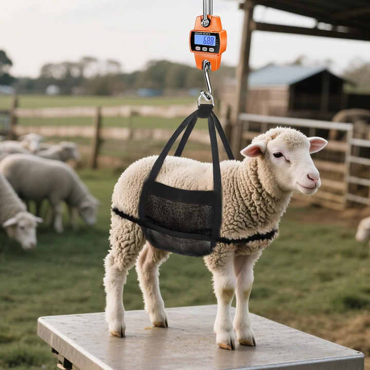 300KG Digital Aluminum Cast Hanging Scale with Hooks - ميزان تعليق إلكترون