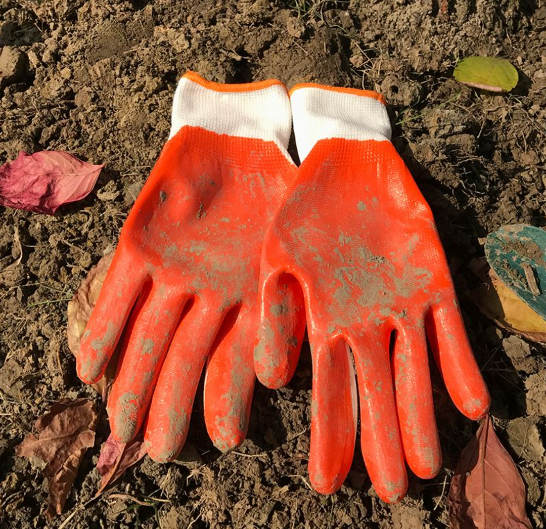 10" Gardening Gloves (L/XL) - كفوف مغطس