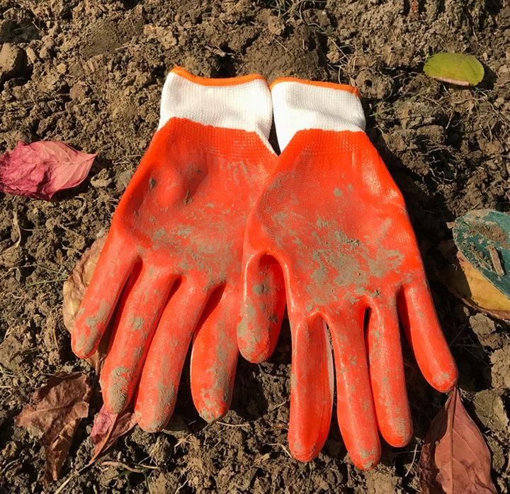 10" Gardening Gloves (L/XL) - كفوف مغطس